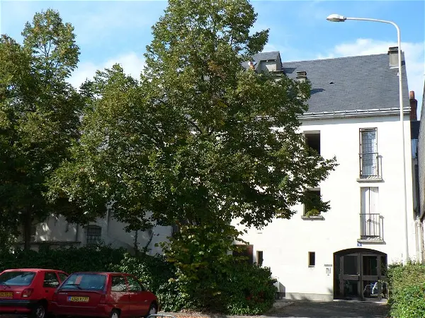 Location appartement 1 pièce - 36m² à Tours (37000)