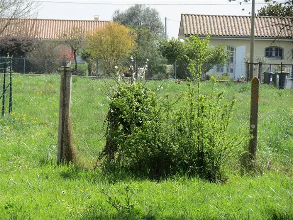 Terrain à vendre - CISSAC MEDOC - 823 m²