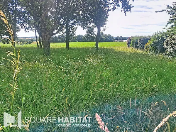 Terrain à vendre - MERNEL - 619 m²