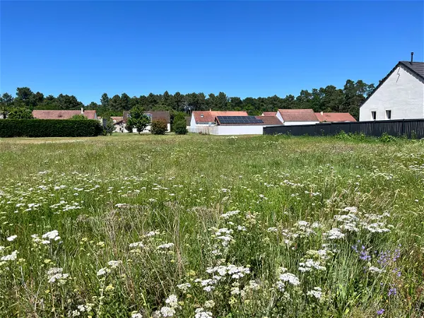 Achat terrain - 662m² à Bray en val (45460)