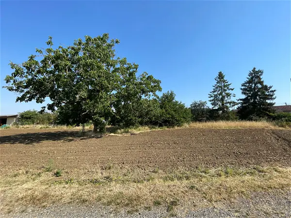 Terrain à vendre - SCORBE CLAIRVAUX - 1512 m²