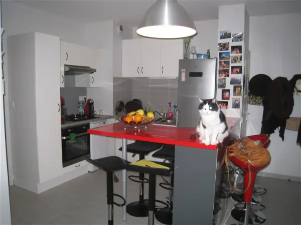 Appartement à louer - Oullins, 2 pièces