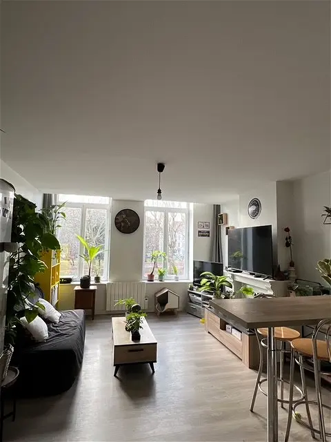 Appartement à louer - Lille, 2 pièces