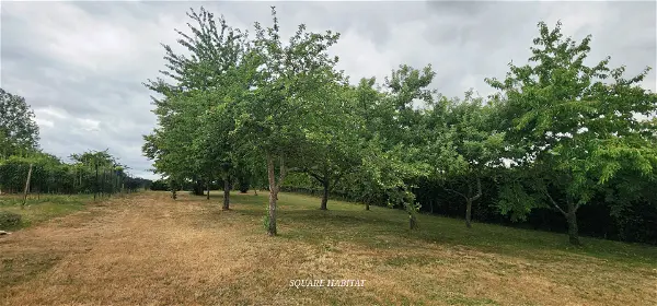 Achat terrain - 1600m² à Vibraye (72320)