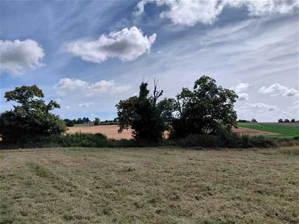 Achat terrain - 72m² à Vignes (64410)