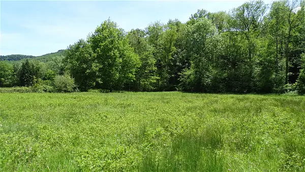 Terrain à vendre - BENAIX - 3002 m²