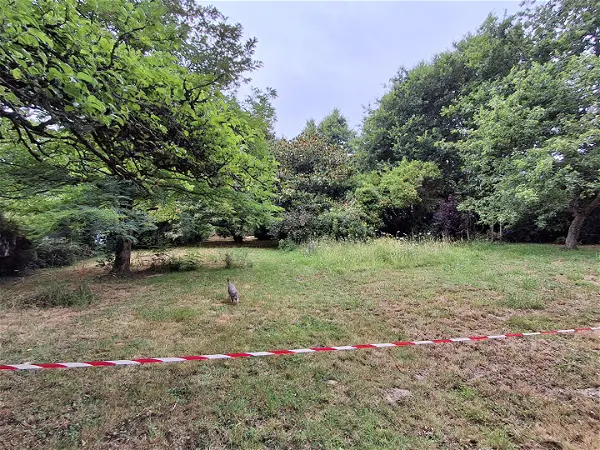 Terrain à vendre - HERBIGNAC - 714 m²