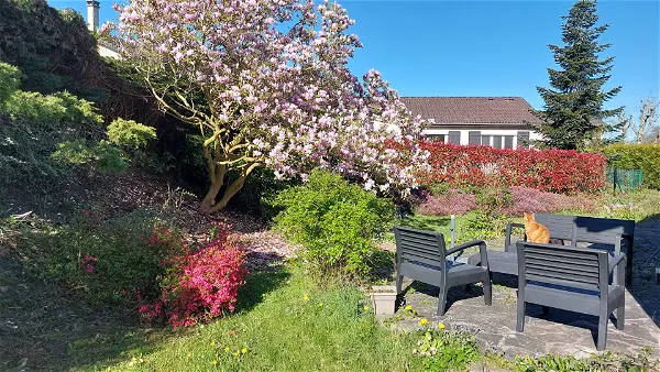Maison à vendre - BONSECOURS, 7 pièces