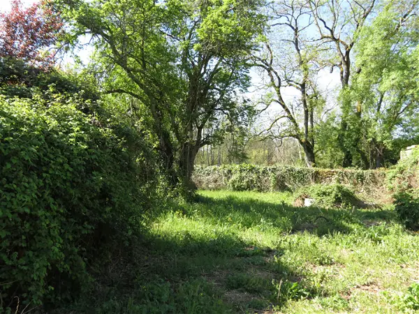 Terrain à vendre - COUQUEQUES - 50 m²