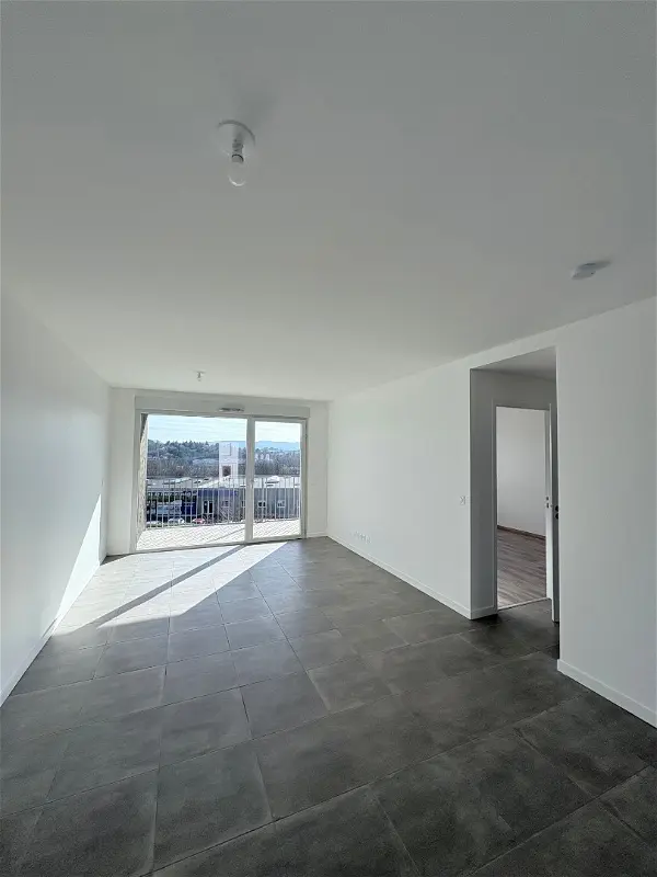 Location appartement 3 pièces - 66.45m² à Andrezieux boutheon (42160)