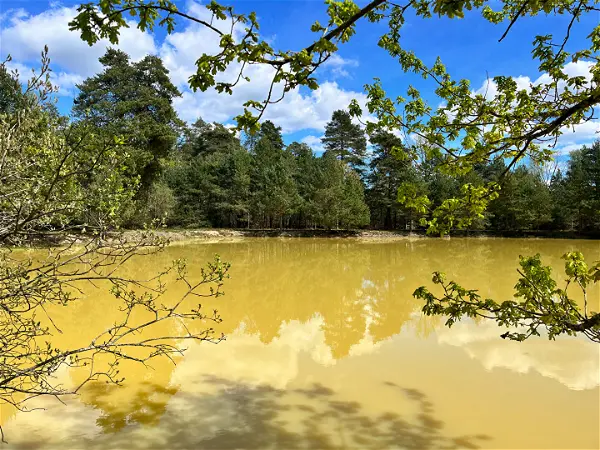 Maison à vendre - VIENNE EN VAL, 6 pièces