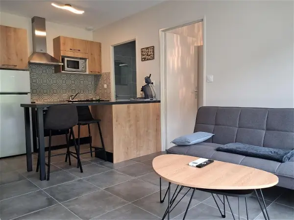 Location appartement 1 pièce - 31m² à Vaux-en-bugey (01150)