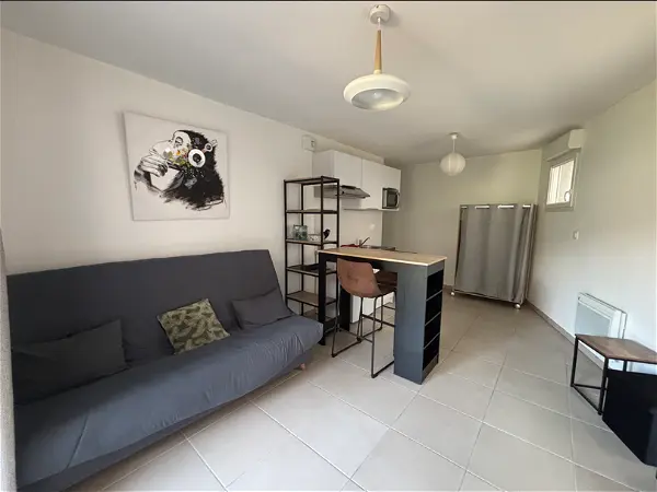 Location appartement 1 pièce - 28.47m² à St etienne (42100)