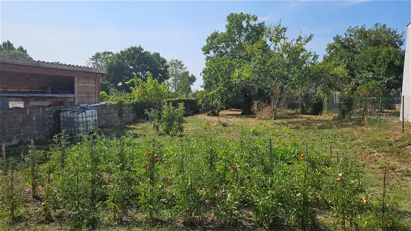 Achat terrain à Marennes hiers brouage (17320)