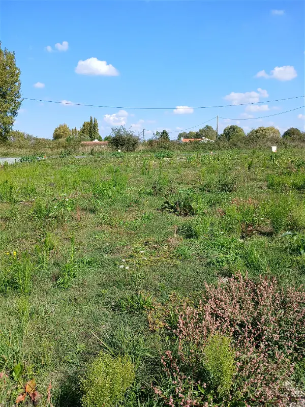 Terrain à vendre - SAINT JEAN DE MONTS - 601 m²