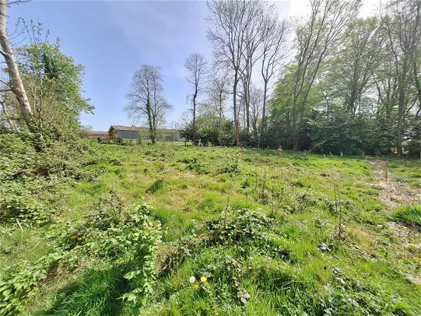 Terrain à vendre - LONGUEVILLE SUR SCIE - 1009 m²